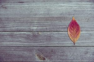Winterize Home, Check list, Get ready for winter
