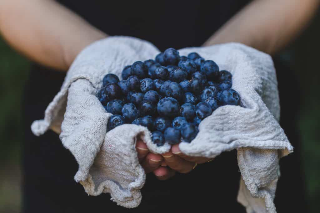 hands holding blueberries