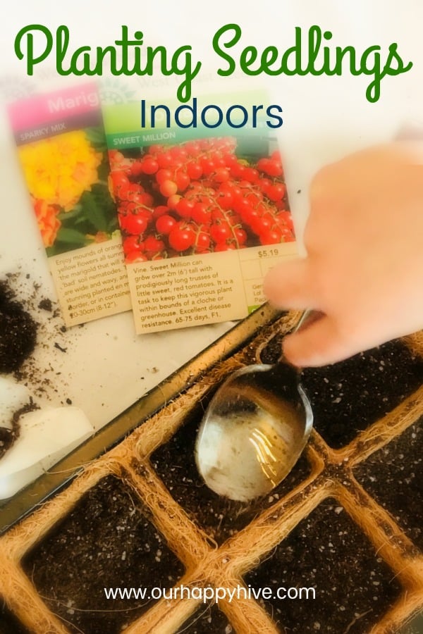 If you consider yourself a new gardener, a mom that wants to do something fun/educational with your kids, or a person that thinks starting from seeds is too hard, this post is for you! Learn about when to start seedlings indoors, the types of seeds to buy and plant. Check out this post for more great tips! | gardening, seedlings, family garden, square foot gardening, urban garden, starting seeds indoors, #plantingseedsindoors #seeds #vegetablegarden #squarefootgardening #ourhappyhive