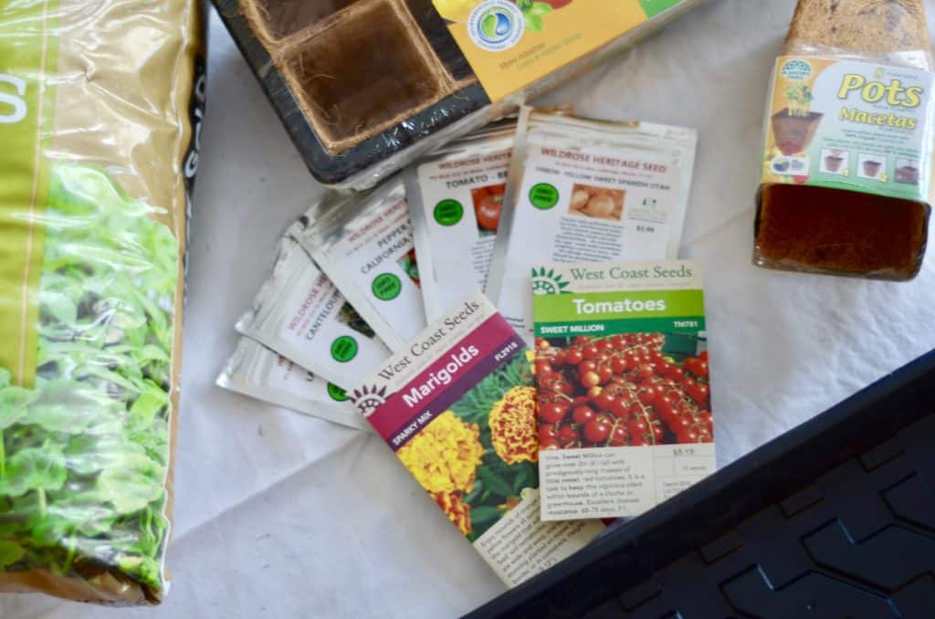 If you consider yourself a new gardener, a mom that wants to do something fun/educational with your kids, or a person that thinks starting from seeds is too hard, this post is for you! Learn about when to start seedlings indoors, the types of seeds to buy and plant. Check out this post for more great tips! | gardening, seedlings, family garden, square foot gardening, urban garden, starting seeds indoors, #plantingseedsindoors #seeds #vegetablegarden #squarefootgardening #ourhappyhive