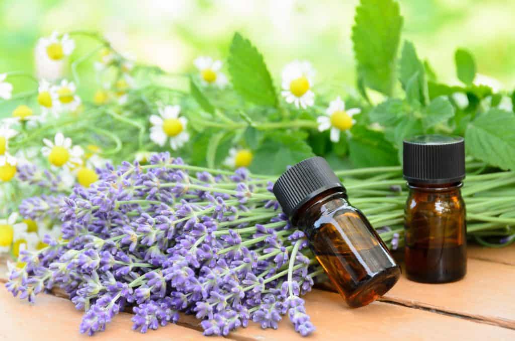 essential oils for aromatherapy treatment with herbal flowers using chamomile, lemon balm, and lavender on the wooden table