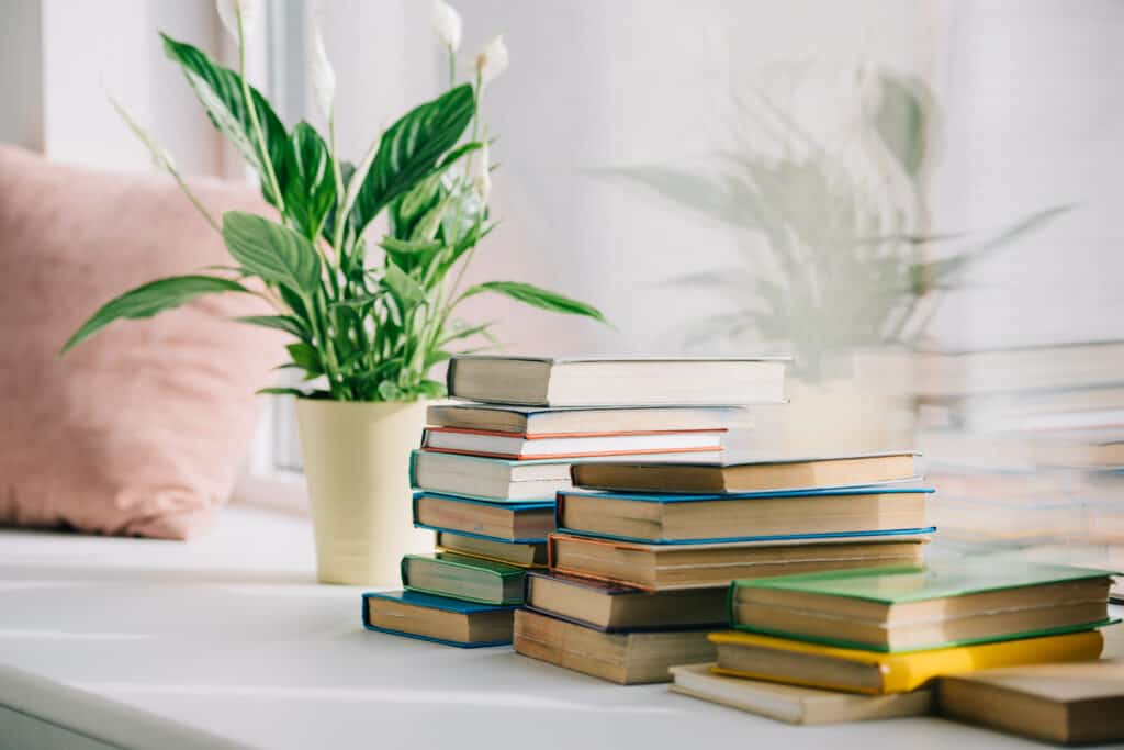 Pile of books that were easily decluttered