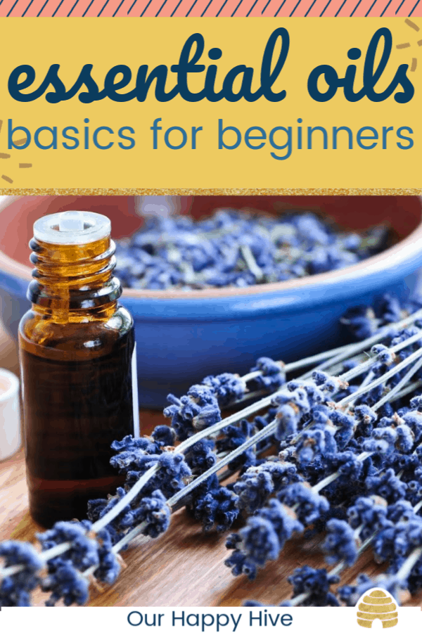 lavender with essential oils bottle and text essential oils basics for beginners