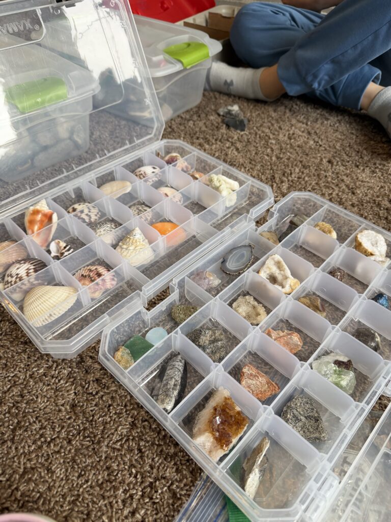 Clear stackable containers organizing a kids' rock and shell collection in a closet