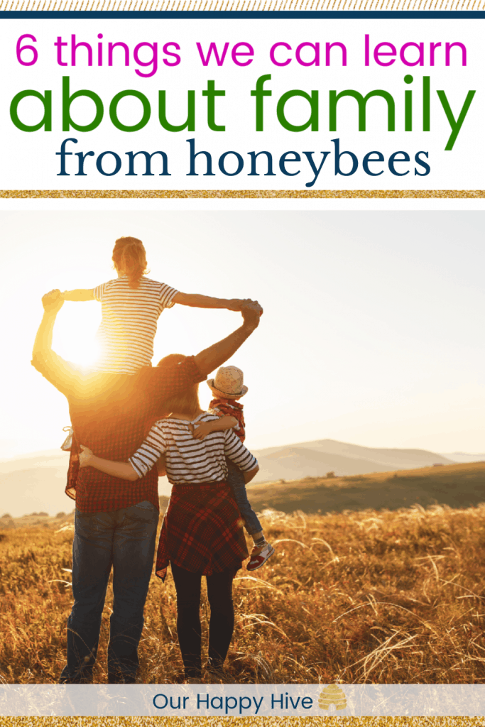 family looking into the sunset with text 6 things about family we can learn from honeybees