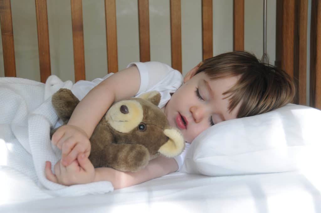 Little boy sleeps with teddy bear